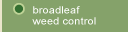 Broadleaf Weed Control