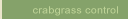 Crabgrass Control