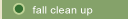 Fall Clean up