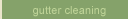Gutter Cleaning