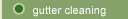 Gutter Cleaning