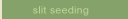 Slit Seeding
