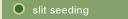 Slit Seeding
